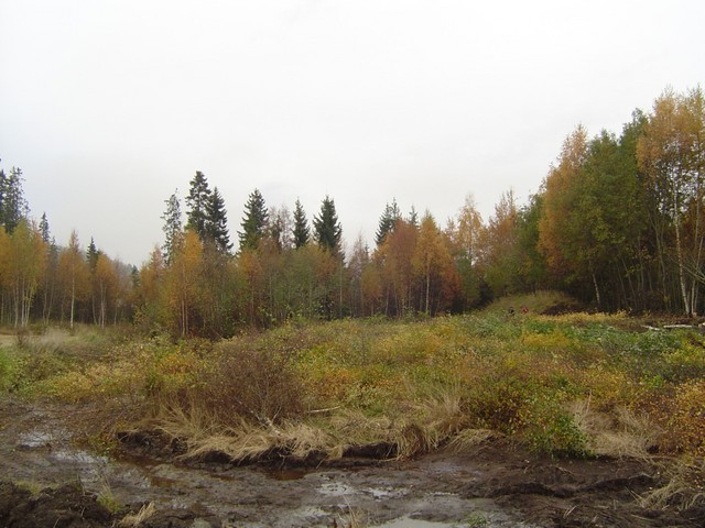 Dugnad motorbanen 6 oktober.JPG