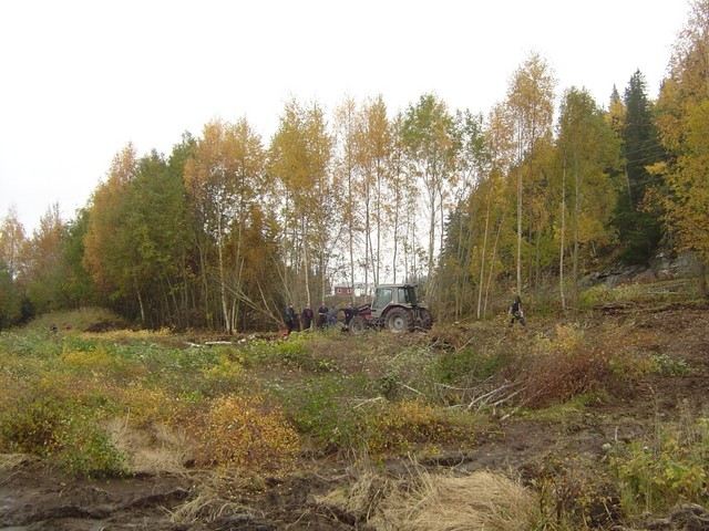 Dugnad motorbanen 6 oktober (1).JPG