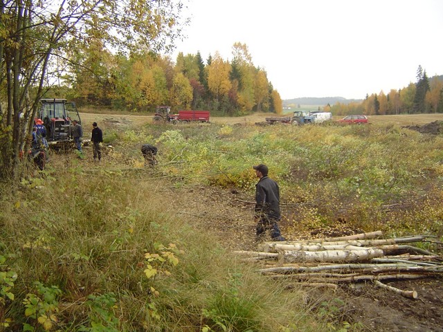 Dugnad motorbanen 6 oktober (5).JPG